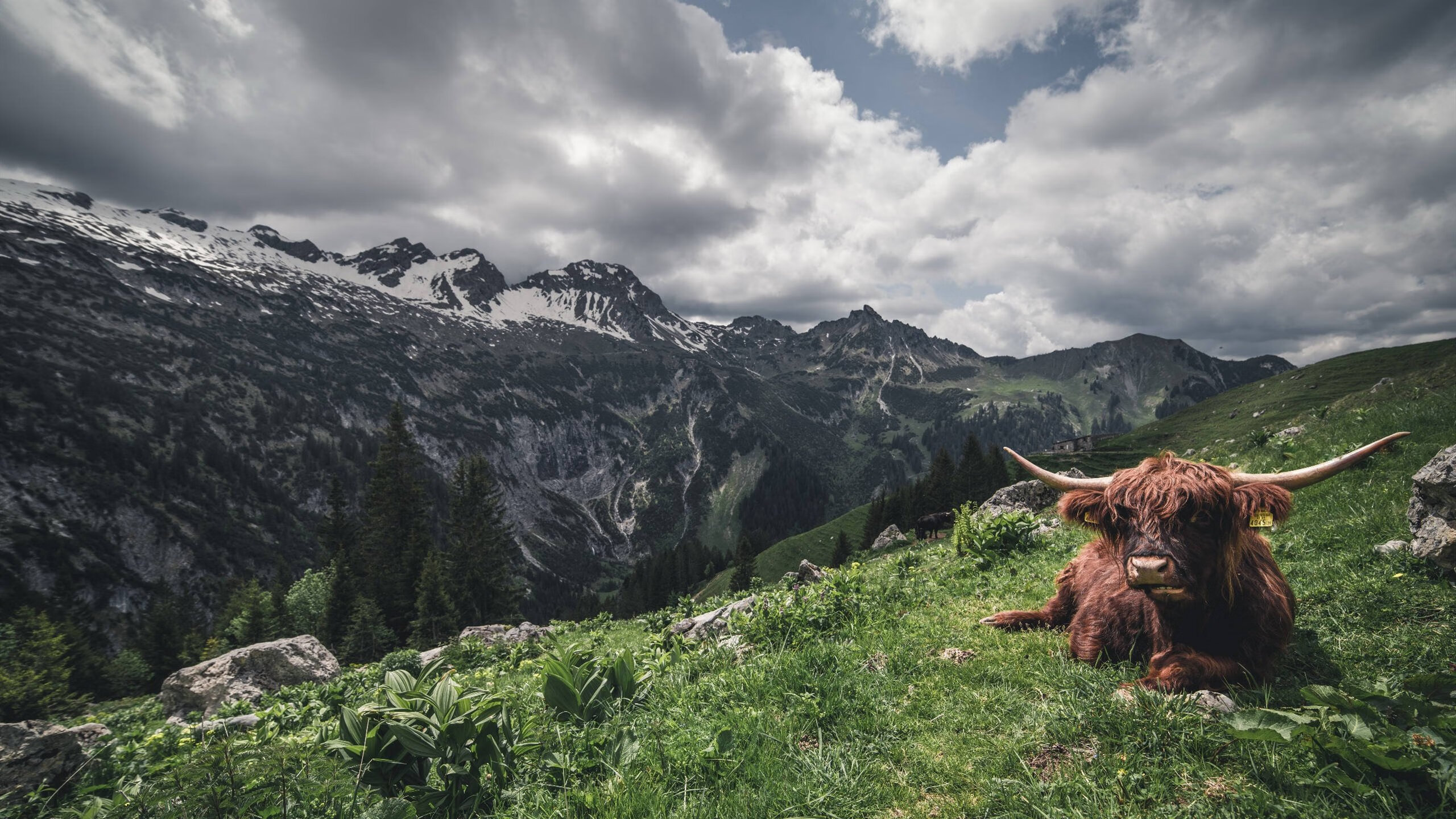 AI预测比赛走势,辅助观众理解精彩瞬间,ai预测比赛走势,辅助观众理解精彩瞬间的意思