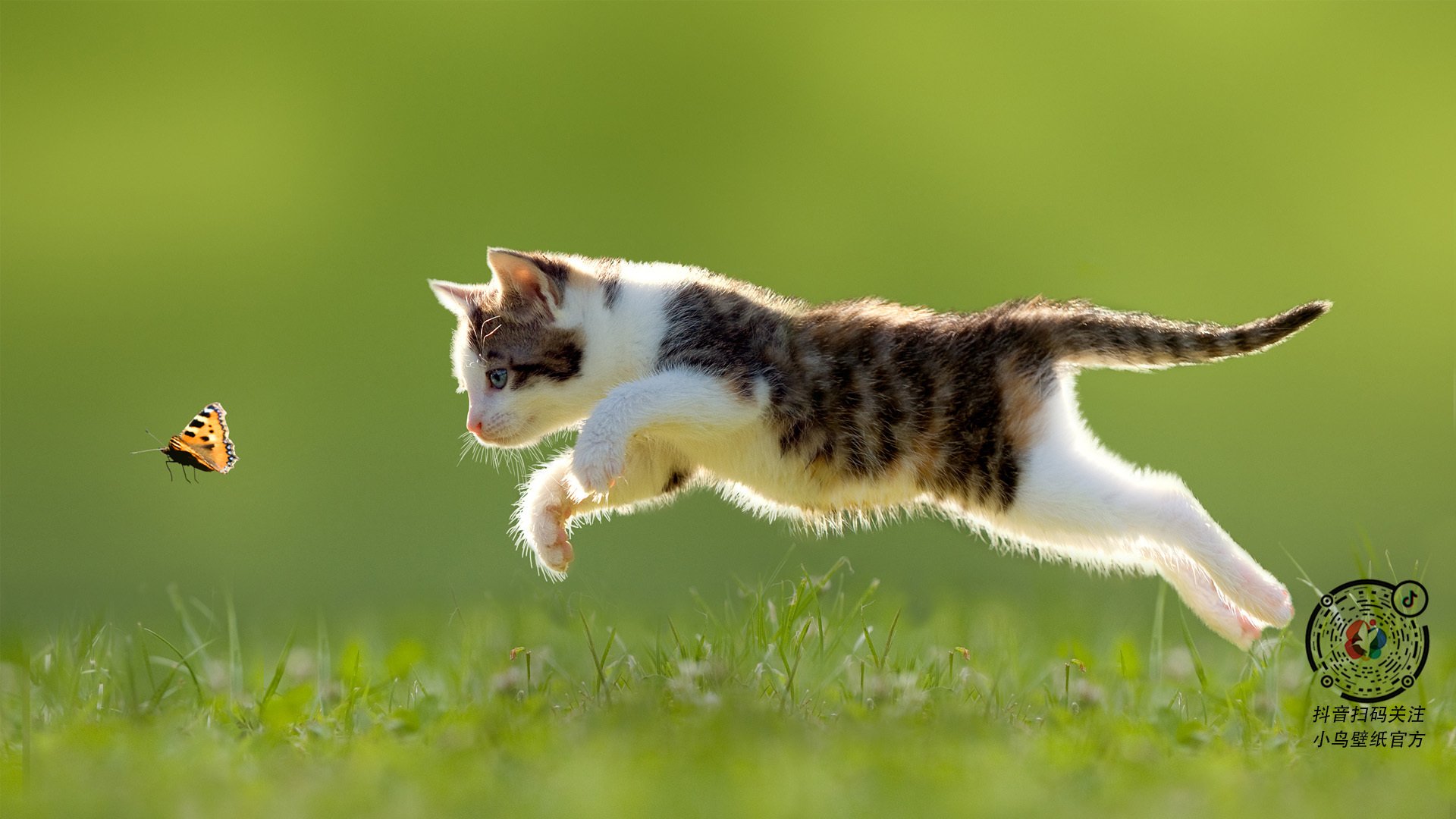 《【文化传承】电竞如何成为青少年价值观的新引擎？》，如何做一个电竞