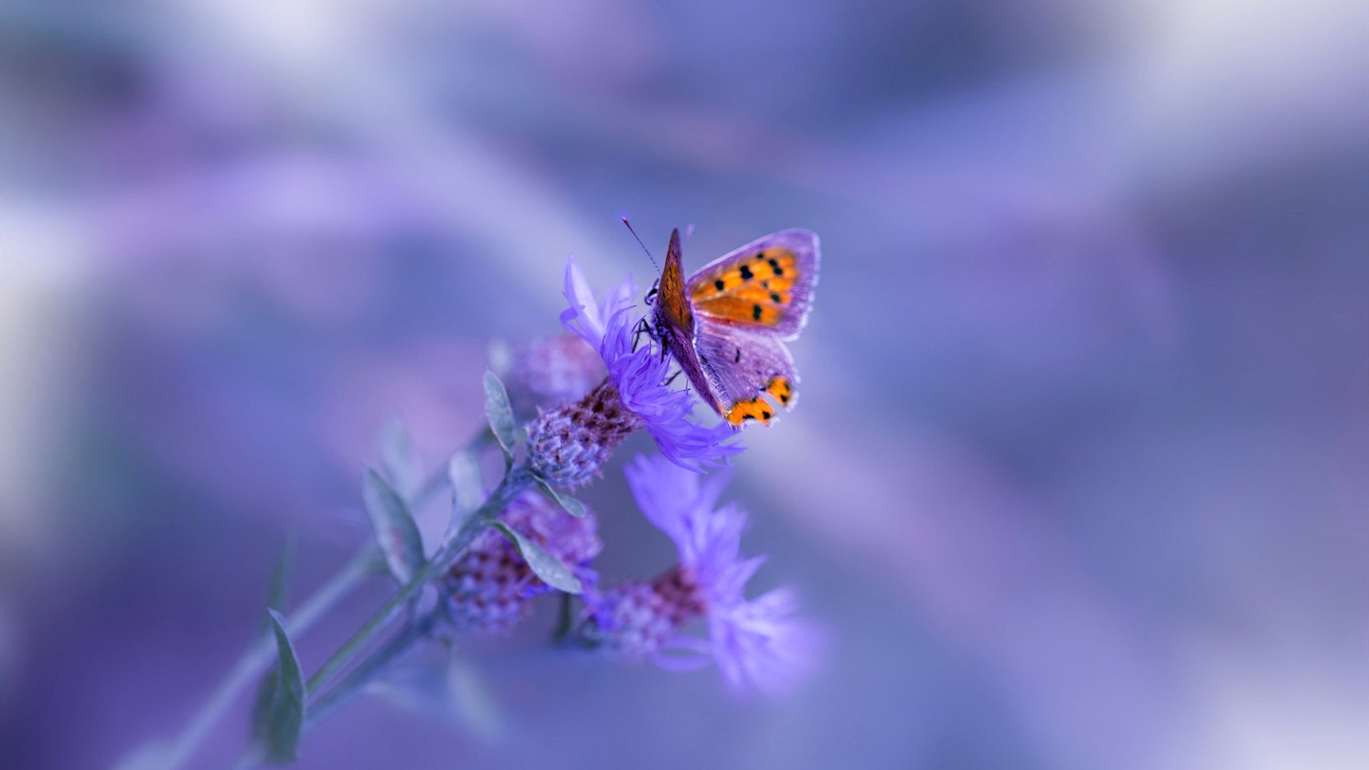 《【文化探讨】电竞如何成为青少年的新文化符号？》，电竞青年群体