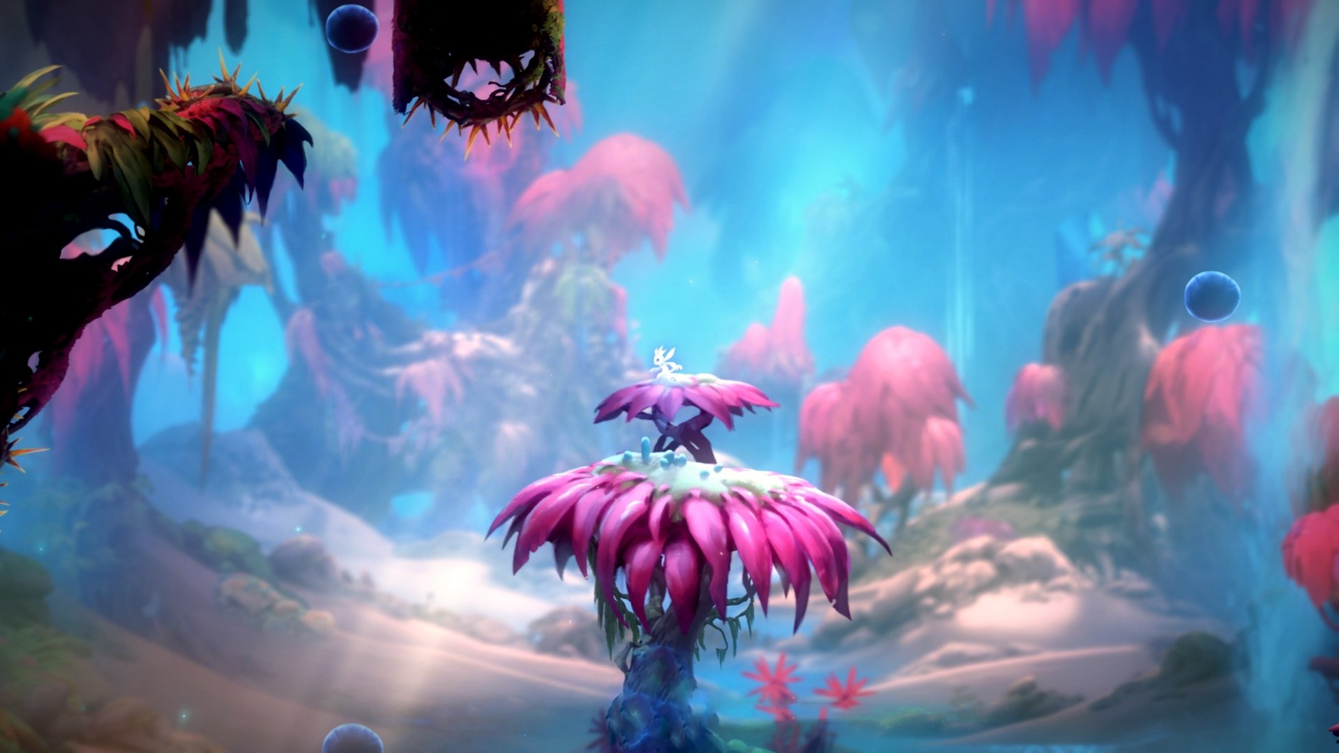 爱游戏中国官方登录入口网站-【冠军故事】他们如何通过坚持训练夺得世界冠军？，世界冠军训练视频