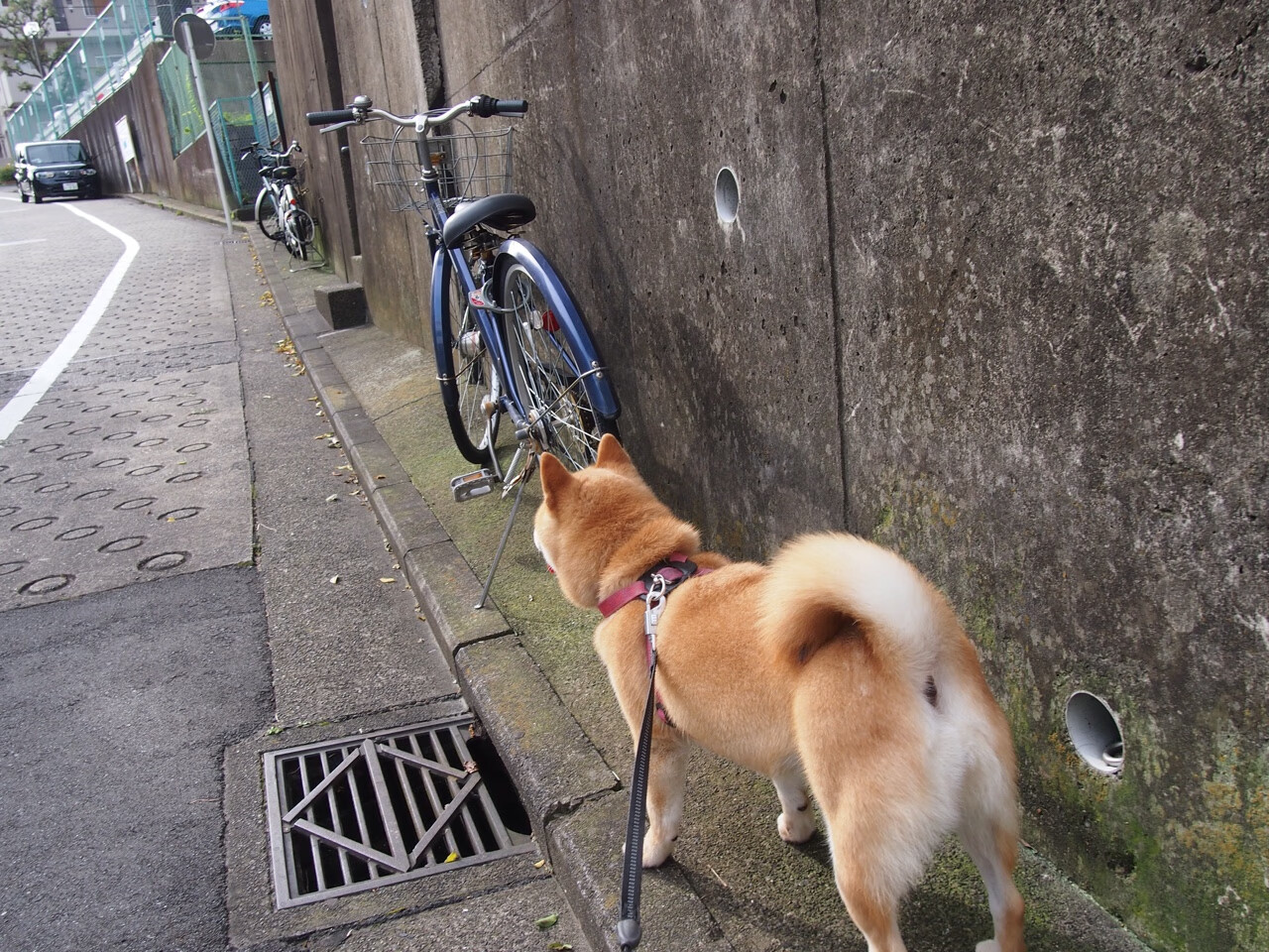 【战术解析】丁俊晖如何利用攻守策略掌控全场，丁俊晖球技到底如何