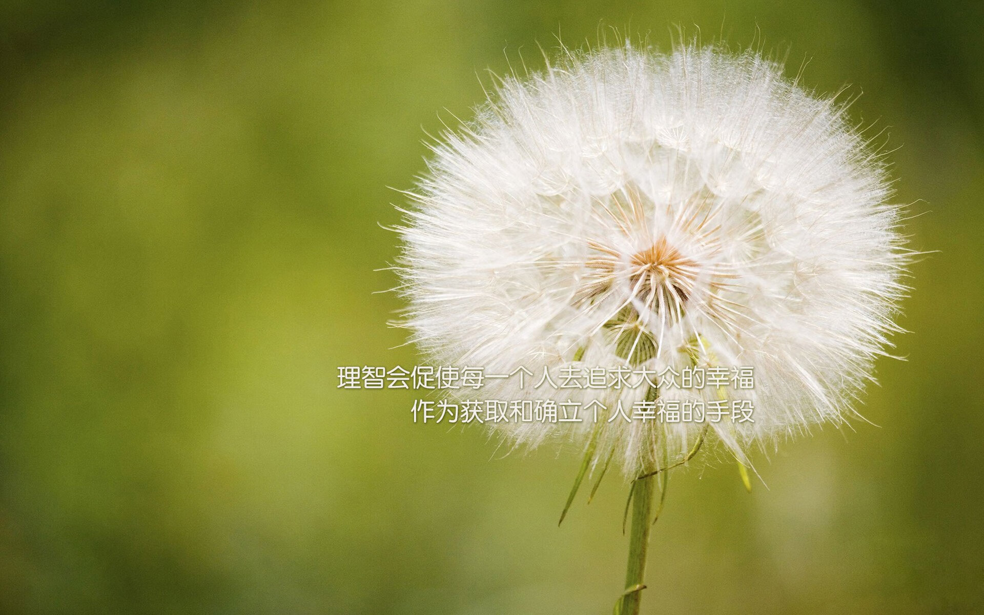 【极速比赛时代】比赛节奏由新规则重塑,运动员如何应变?,竞速比赛规则