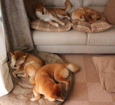 【战术大PK】奥沙利文精通的多变攻防战术解析,奥沙利文的防守