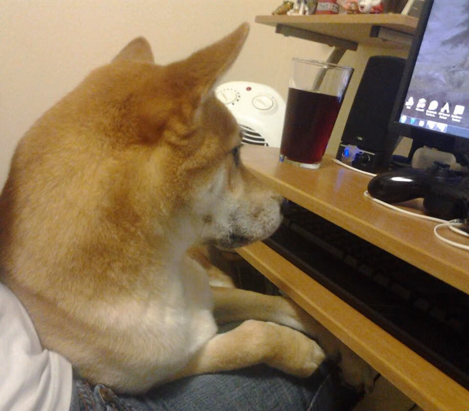 AIYOUXI.COM-“中国女足备战奥运会，全面提升竞技水平”，中国女足奥运会出局了吗