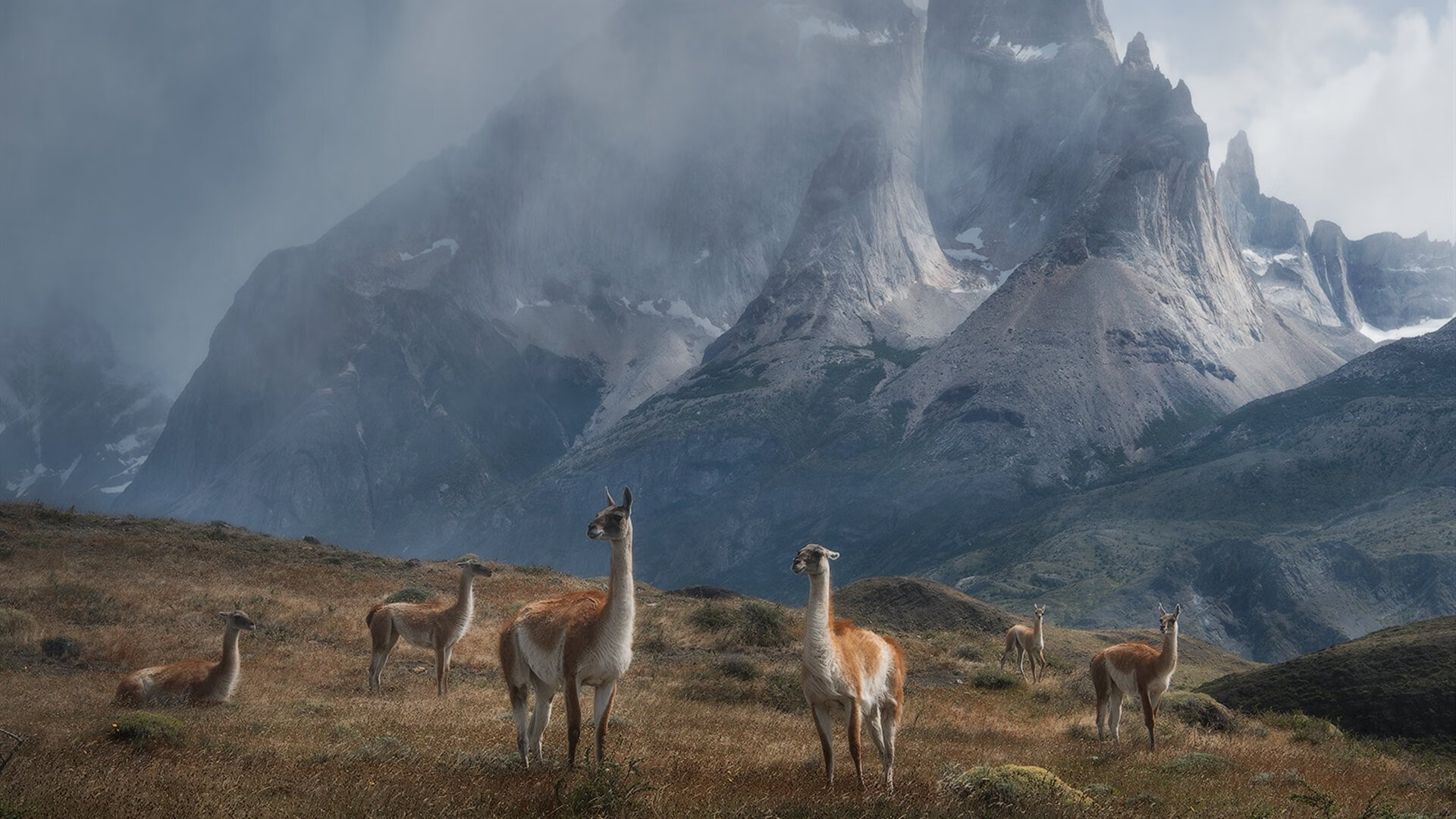 史上最“爆炸”的入球瞬间,点燃球迷激情,爆炸的篮球