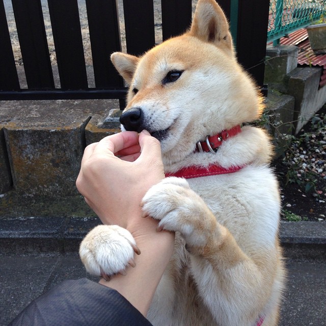 爱游戏体育（AYX）官方APP下载-可持续材料在赛车制造中的创新应用，可持续的材料有哪些