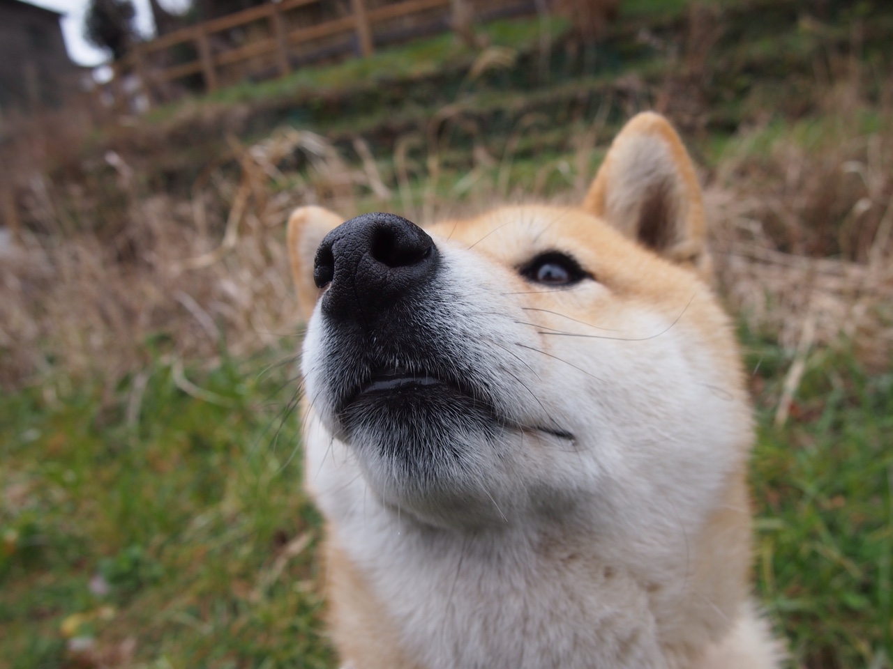爱游戏体育官方网站-中国足球为亚运会选拔最强阵容，中国足球为亚运会选拔最强阵容是谁
