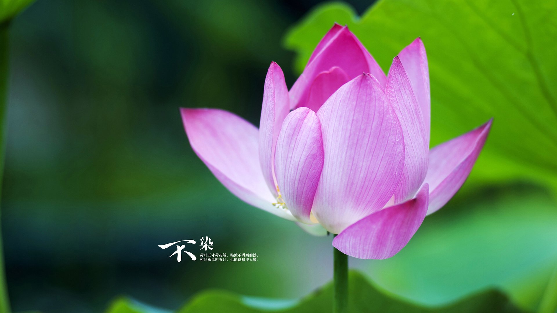 全国青少年“健身行走”公益活动在昆明拉开序幕，推广健康生活方式