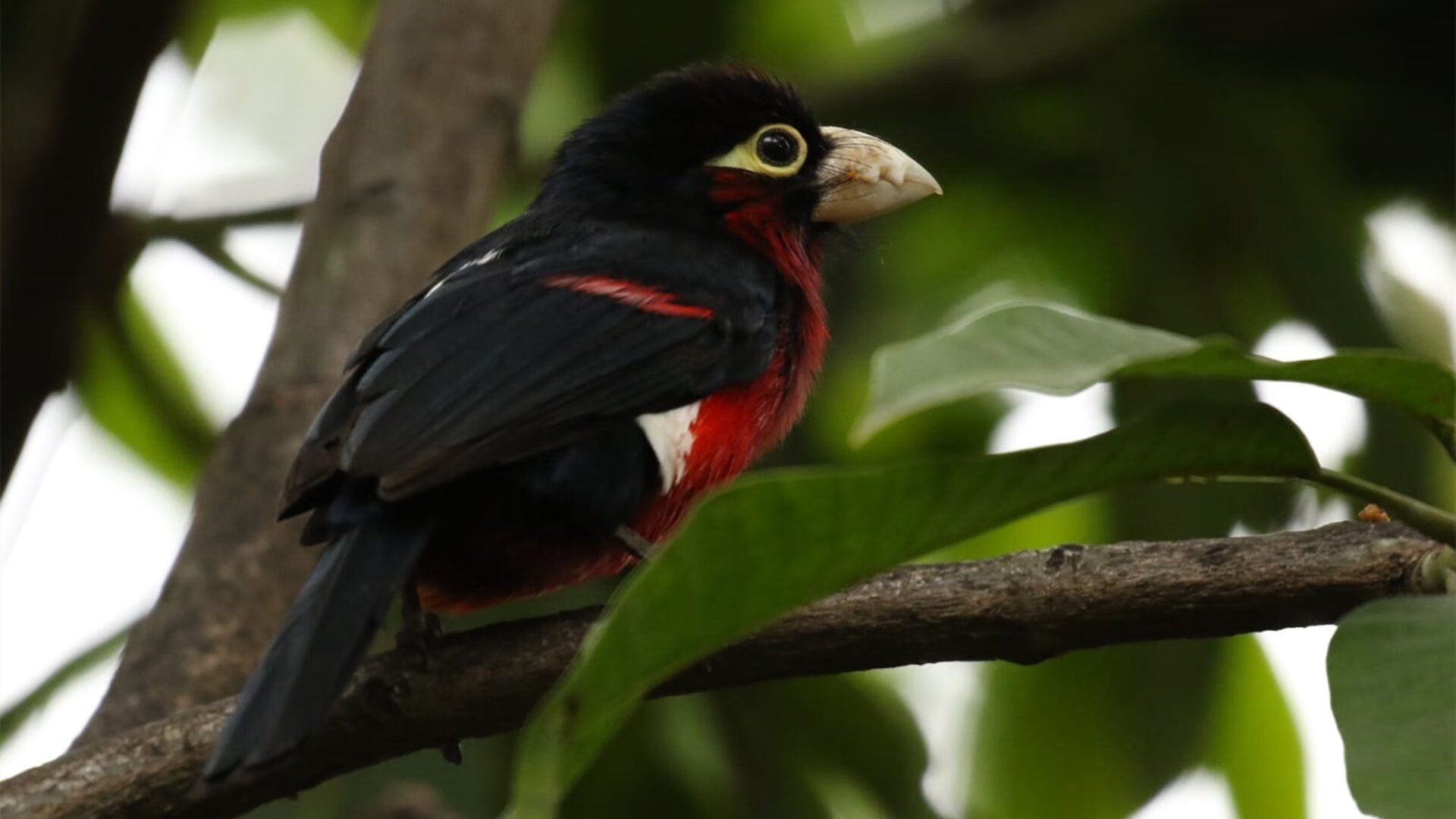 爱游戏体育-大型冲浪骑行竞赛，海浪与速度的完美融合，冲浪比赛计分规则
