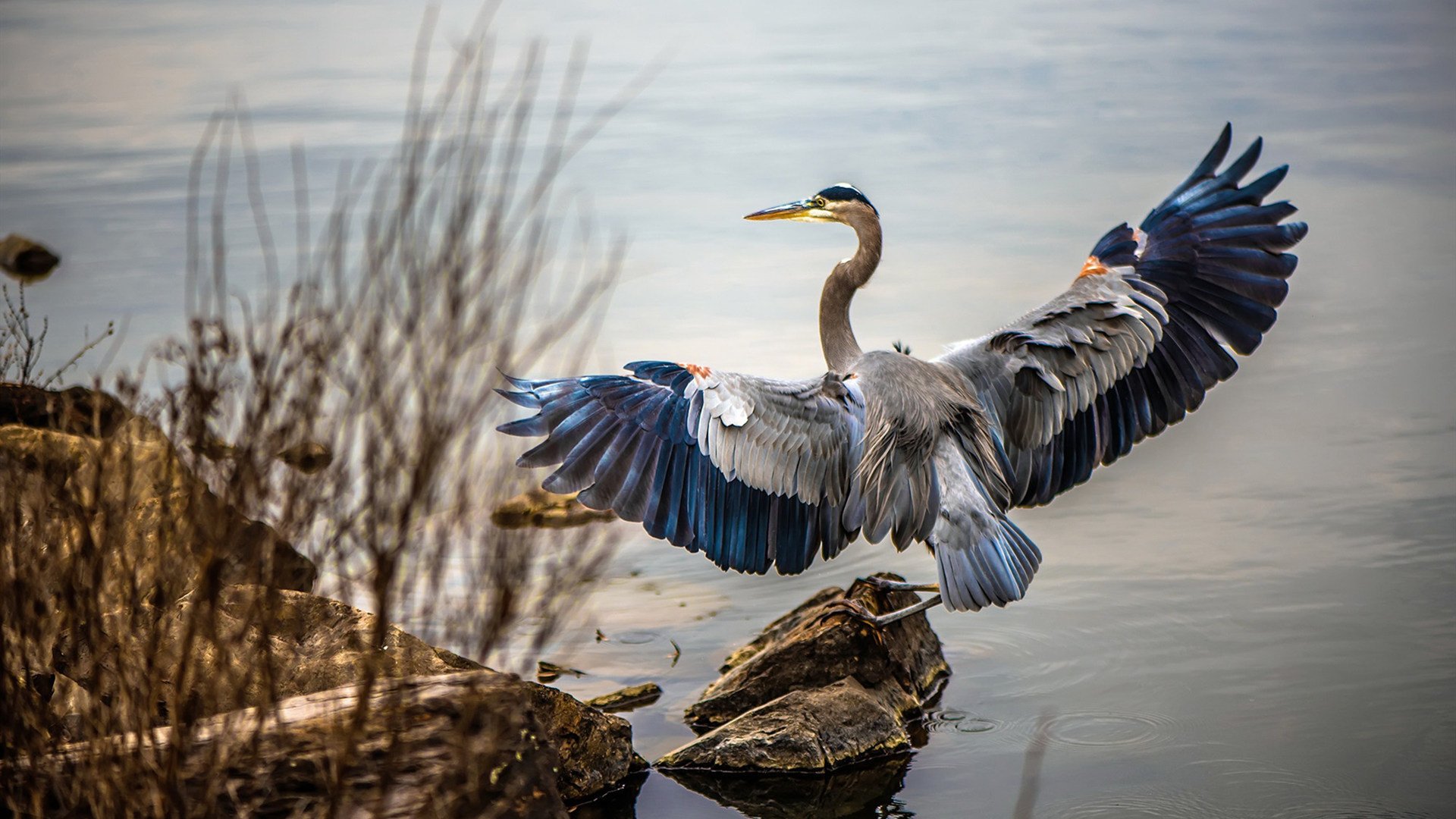 广场舞促进社会和谐发展,促进广场舞健康发展提案