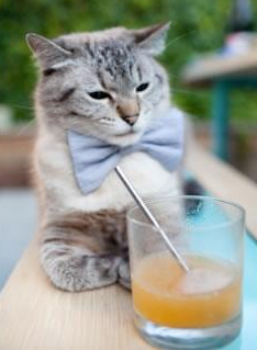 意甲：高价引援，争夺未来潜力股，意甲引入中国