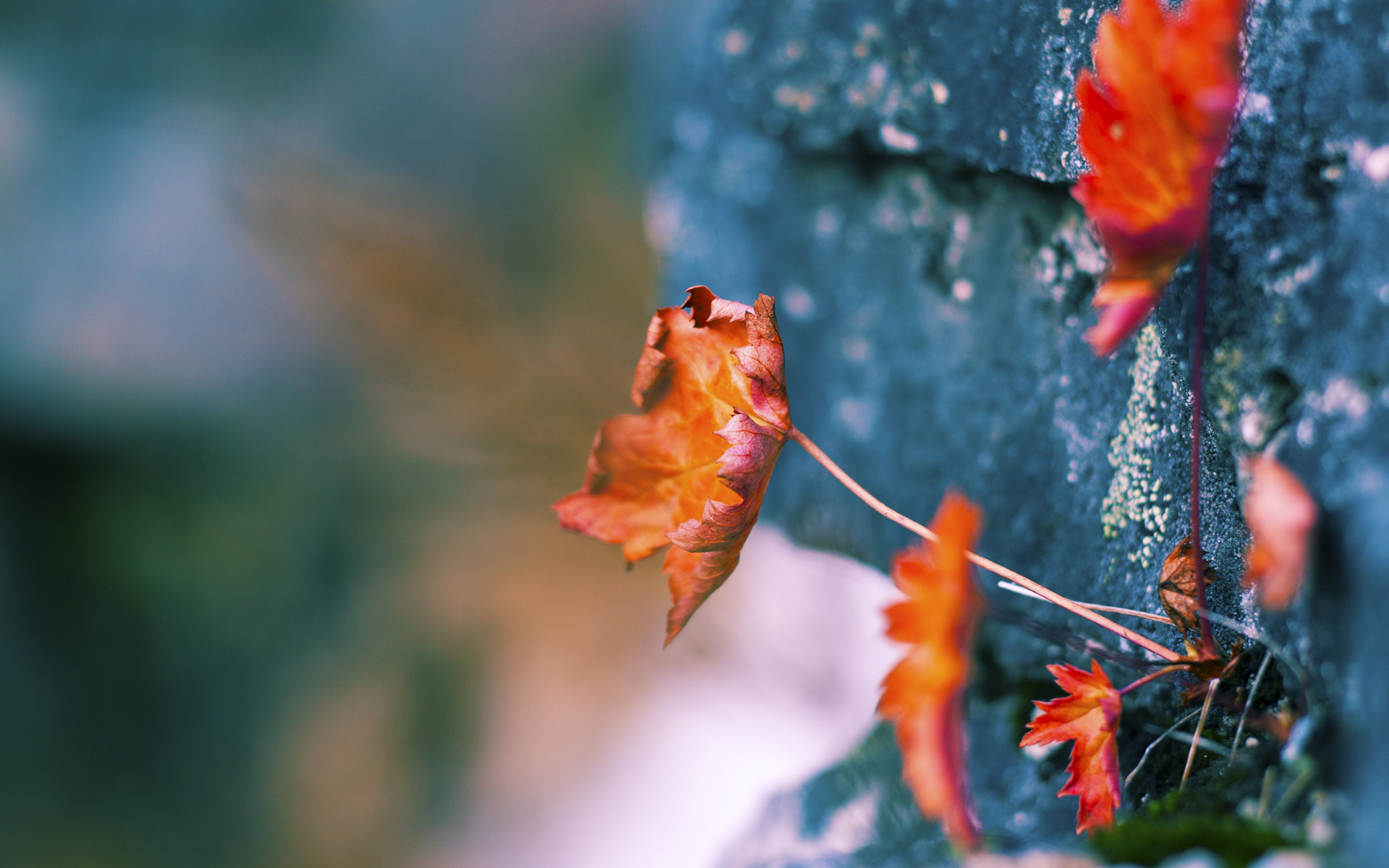 罚款、禁赛:规则执行的每一个细节,禁赛是啥