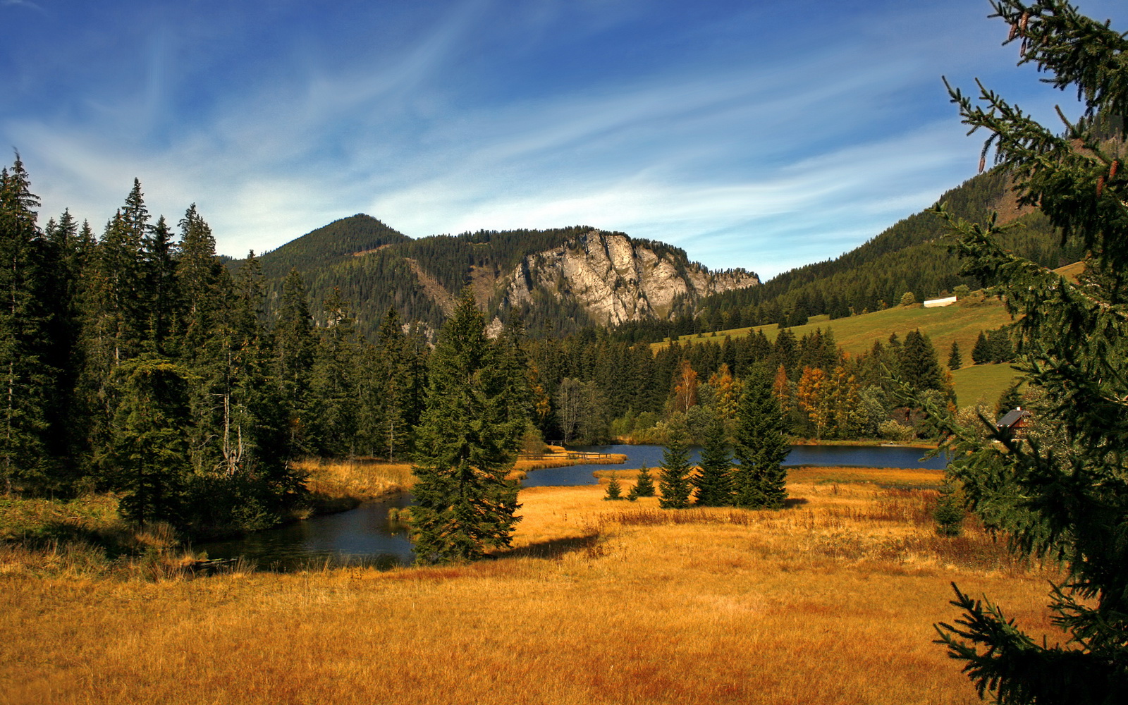 爱游戏中国官方网站平台-荷兰骑手 Dinja van Liere 在巴黎奥运会盛装舞步比赛中获得第六名，创造个人最佳成绩。