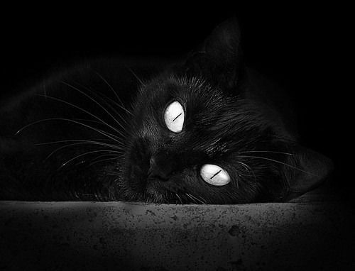 爱游戏官网-莱万破纪录，德甲历史第一人继续刷新个人纪录，德甲历史射手榜最新排名 莱万