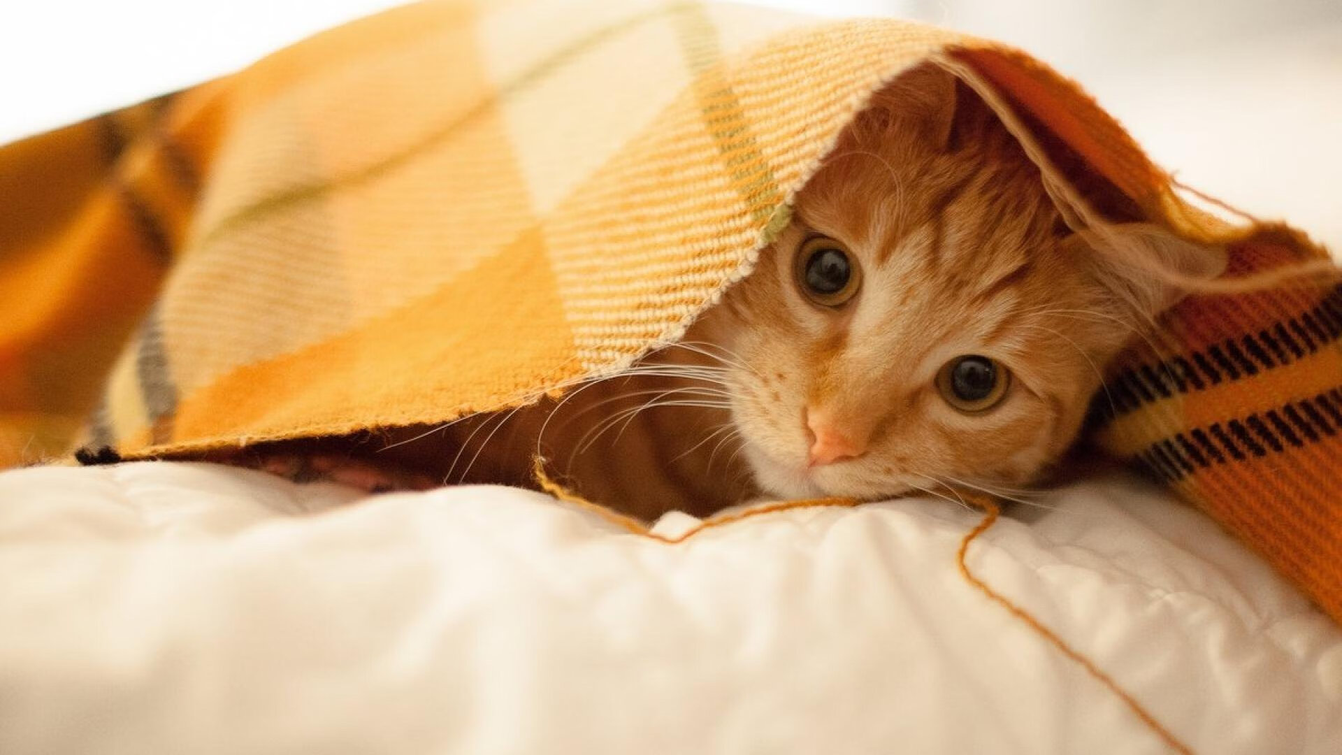 爱游戏官方网站-中超联赛推广校园足球，培养未来之星，中超联赛宣传片