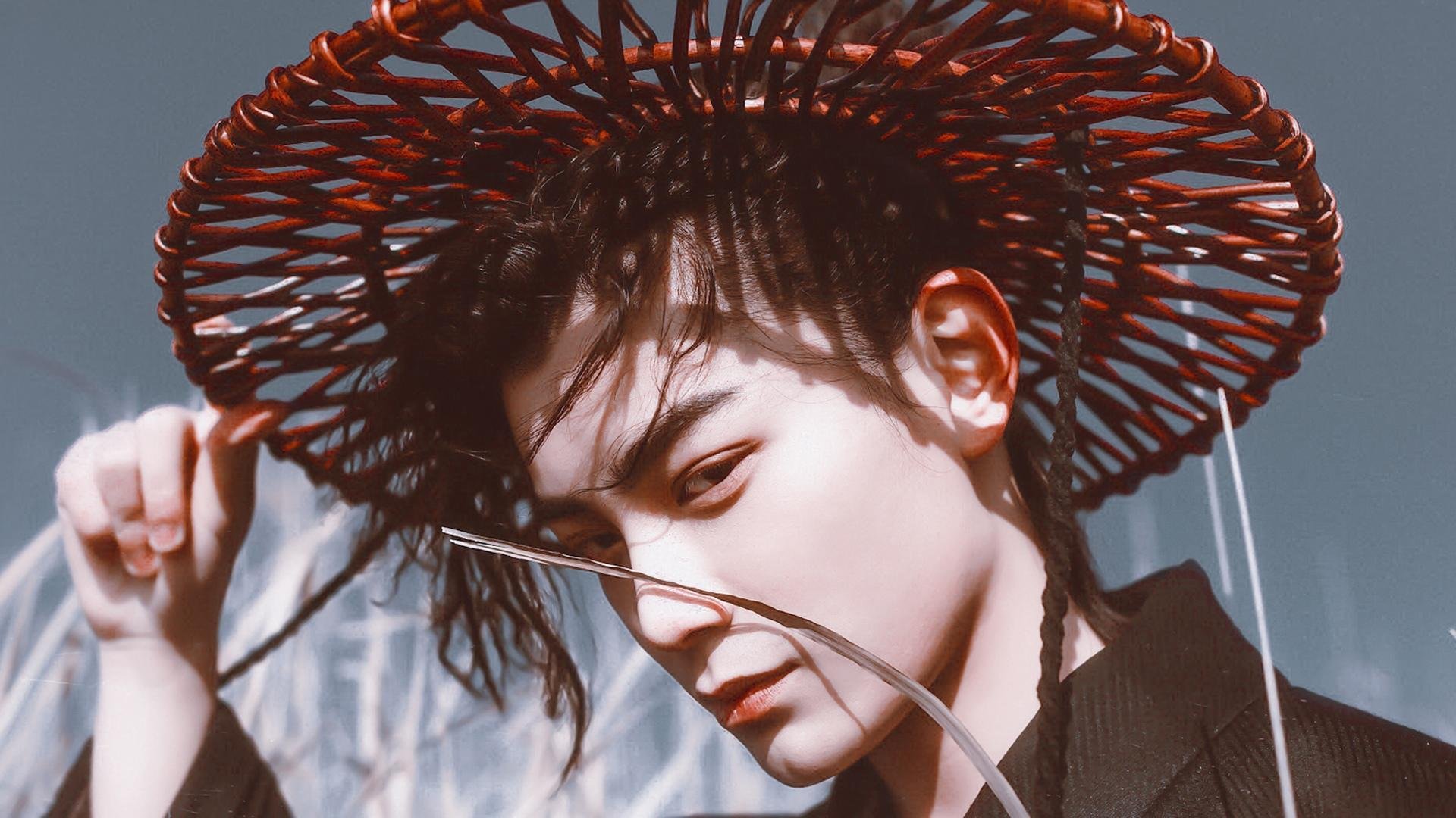 欧洲杯赛场上出现惊险一幕,球队全力争胜,欧洲杯赛场突发意外