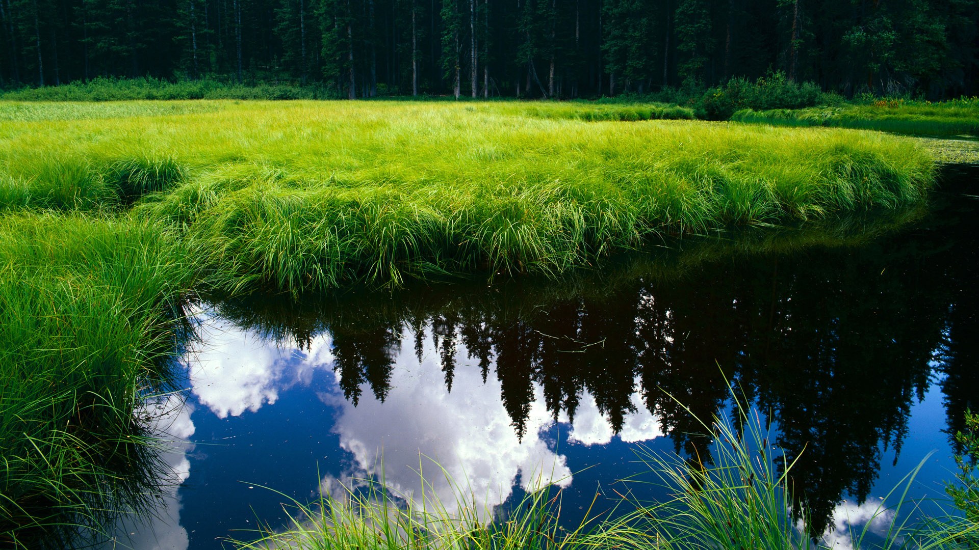 伊朗球队体能训练强化，伊朗球员身体素质