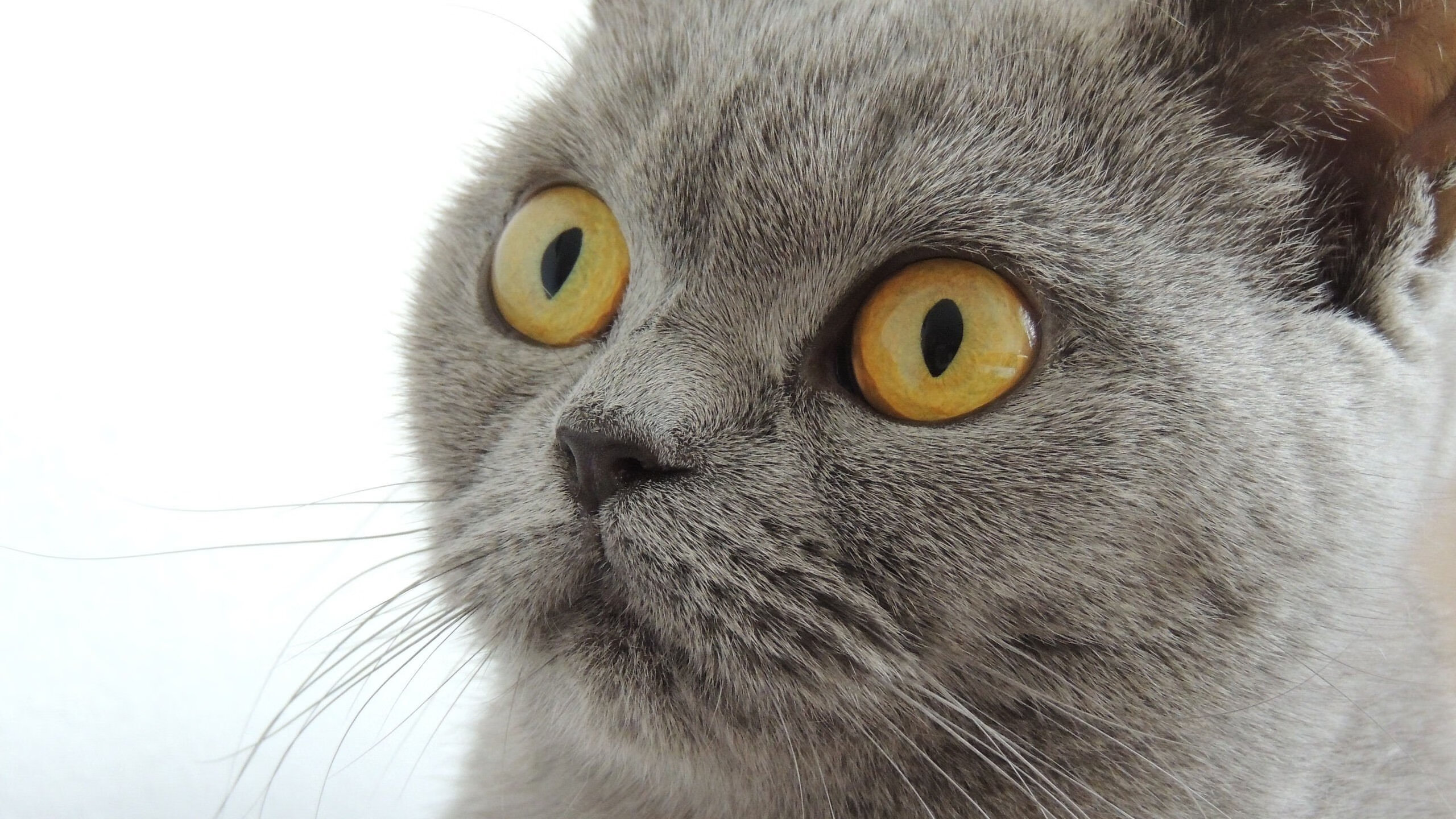 -球队传控短打战术崛起，展现持球优势，短传球力度掌控能力