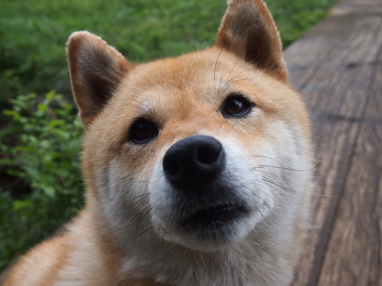 爱游戏娱乐网址-电竞与NBA周边产品打通渠道，nba球队电竞