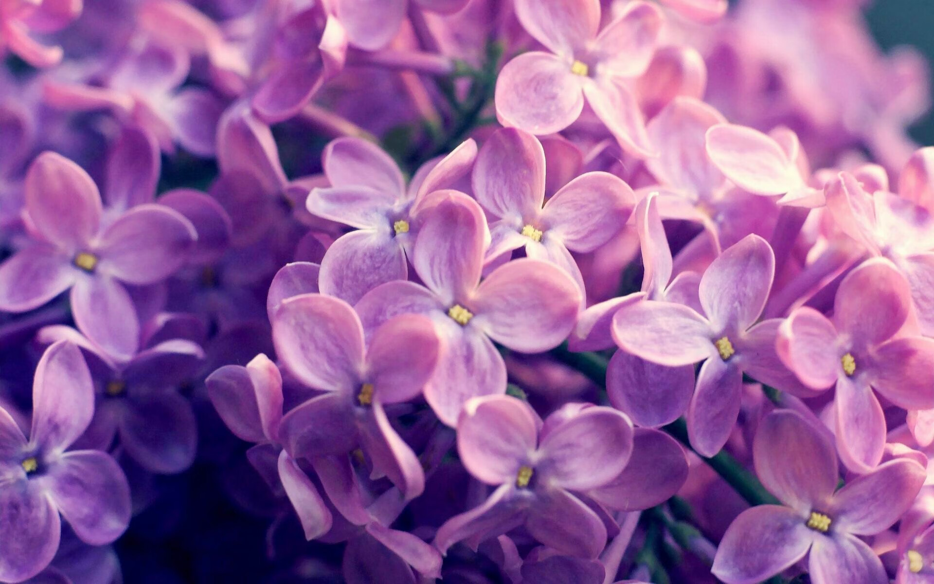 俱乐部是否应参与城市公益文化推广，俱乐部文化建设