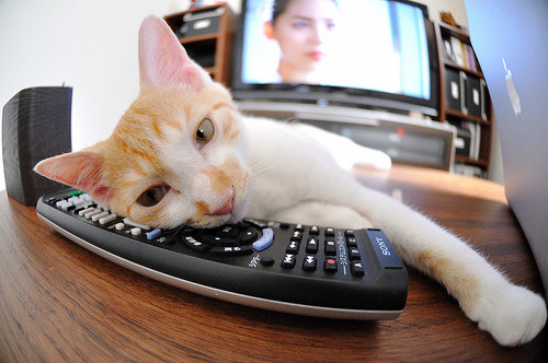 创纪录拳击手年内三战全胜,拳击史上