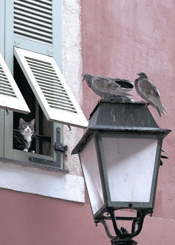 国内足球联赛热度持续升温，球队战术全面升级，足球联赛排名中国