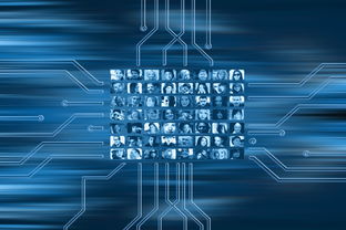 AYX体育官网-NBA球队市场营销数字化转型实践探索，nba营销模式