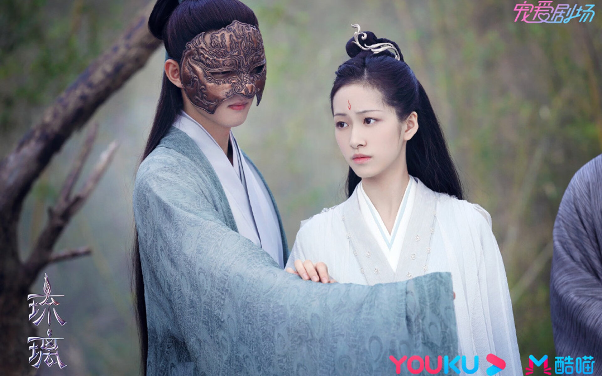 大湾区马拉松创历史最大规模，粤港澳大湾区赛马