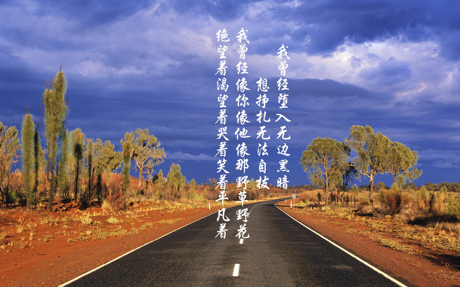 CBA多支球队强化青训体系 促进人才成长，cba青训队是哪里招人