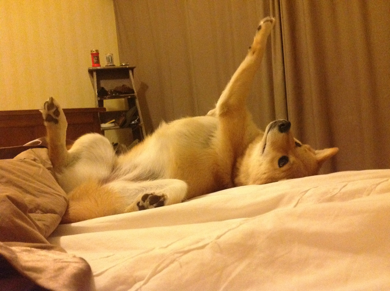 意大利淘汰巴拉圭，夺得欧洲杯小组赛胜利，意大利淘汰巴拉圭,夺得欧洲杯小组赛胜利了吗