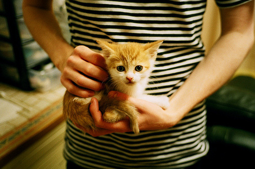 拜仁击败对手，顺利晋级欧冠决赛，拜仁欧冠决赛阵容2020首发