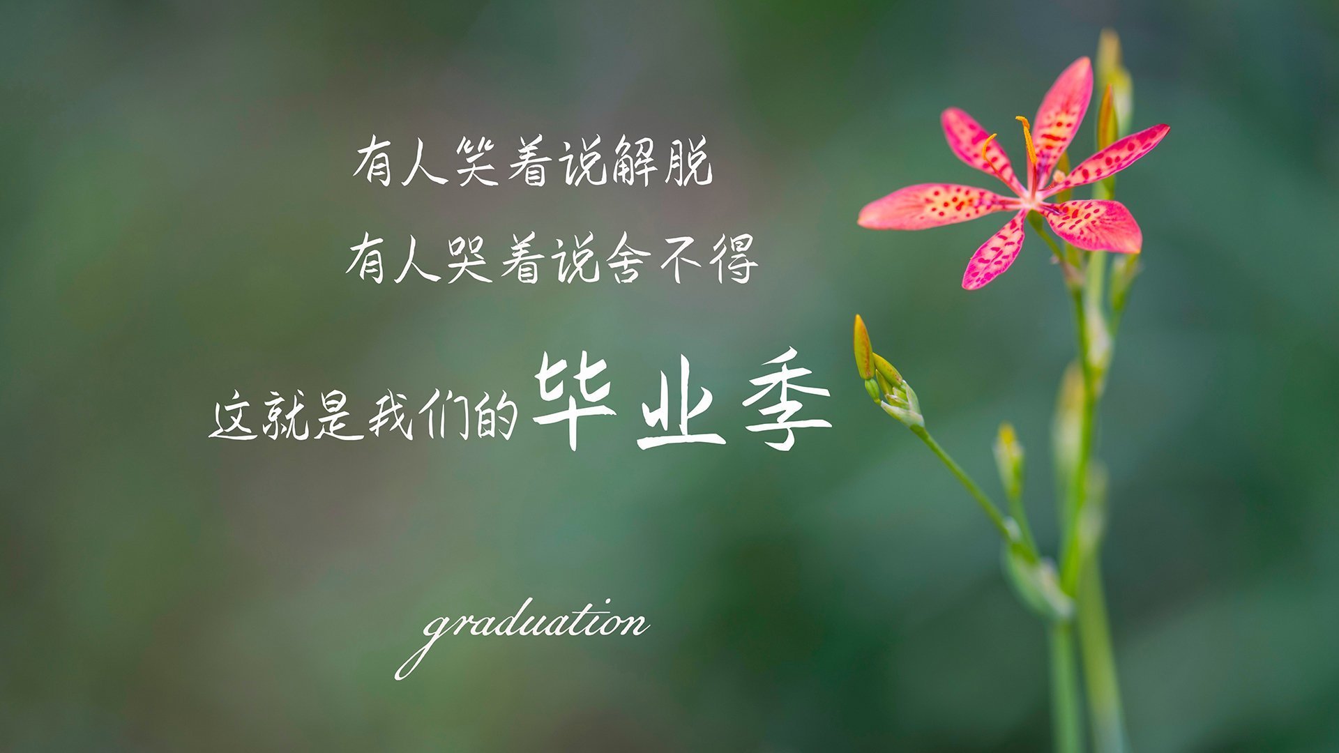 本菲卡锋线配合默契，频造杀机，本菲卡为什么叫本菲卡