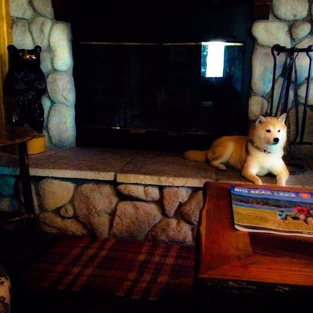 中国足球年度传球断点统计模型，足球短传球时机