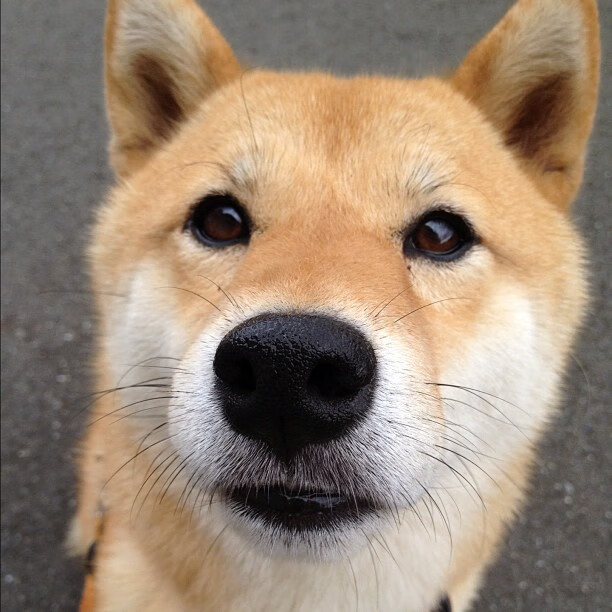 中超防守球员盯人效率热力图分析，足球人盯人防守战术的缺点是