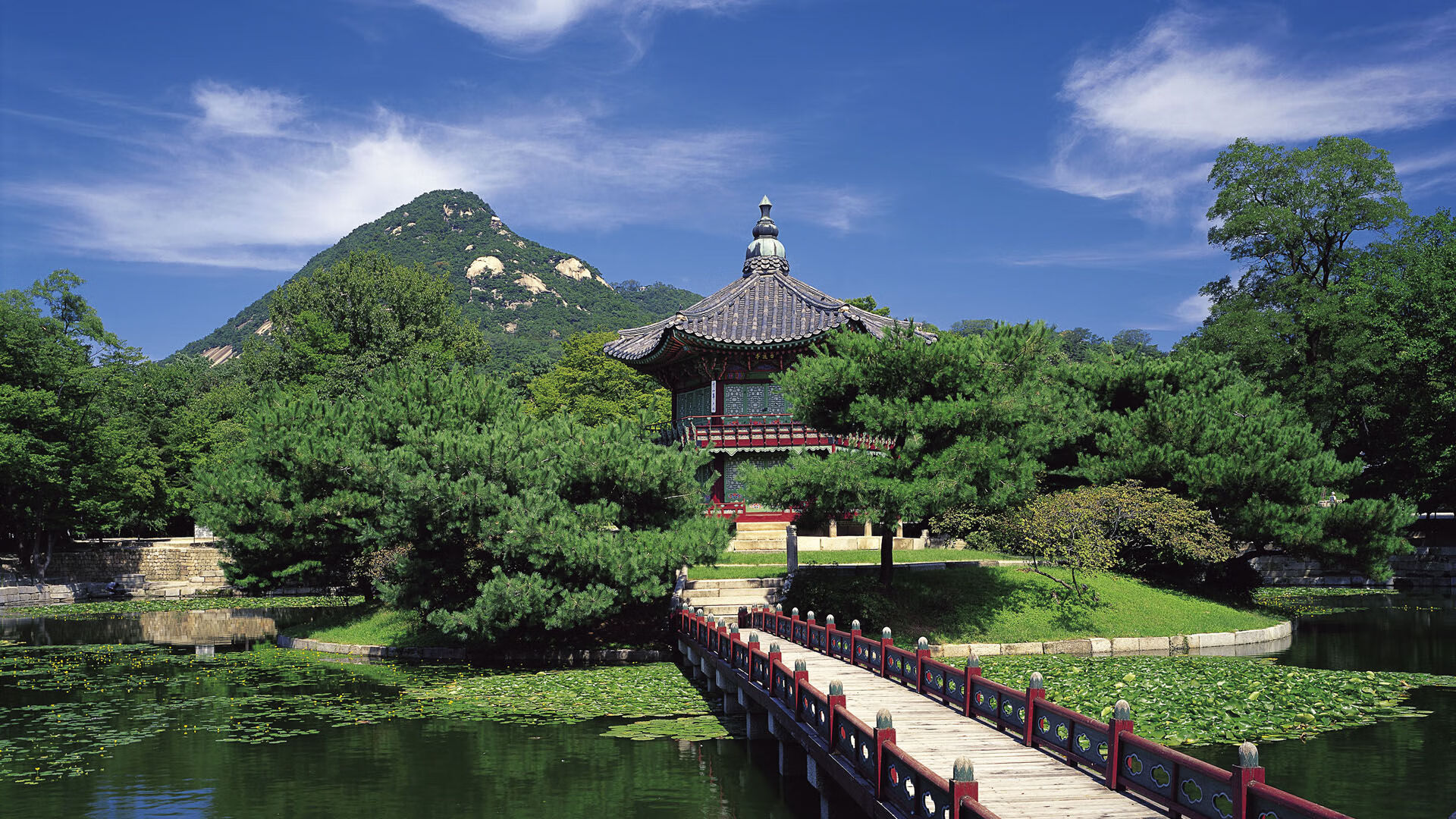 -伊丽莎白·德克斯蝶泳实力引领赛场，德雷克伊丽莎白女王