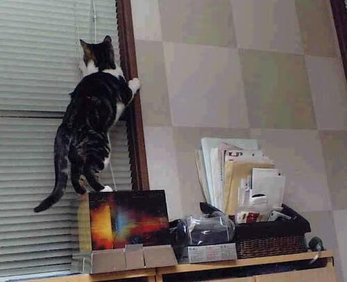 克洛普带领利物浦不断创新，追求新突破