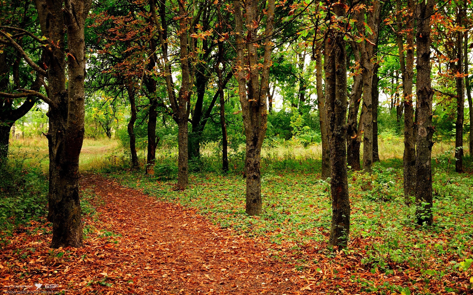 国际赛选手村文化节多国展示非遗与传统体育,传统村落非物质文化遗产