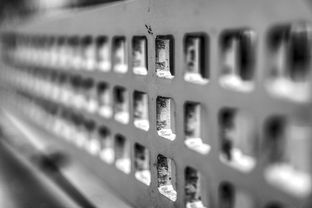 爱游戏娱乐网址-青少年体质监测结果区域对比研究，青少年健康体质检测中心